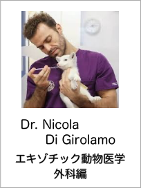 エキゾチック動物医学ー外科編